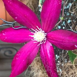 Meet your Posher, Kelley